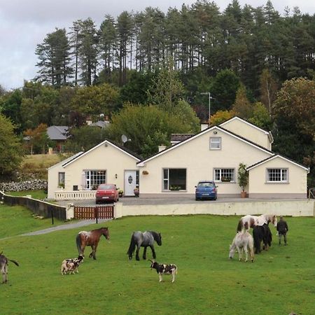 Вилла Muckross Riding Stables Килларни Экстерьер фото