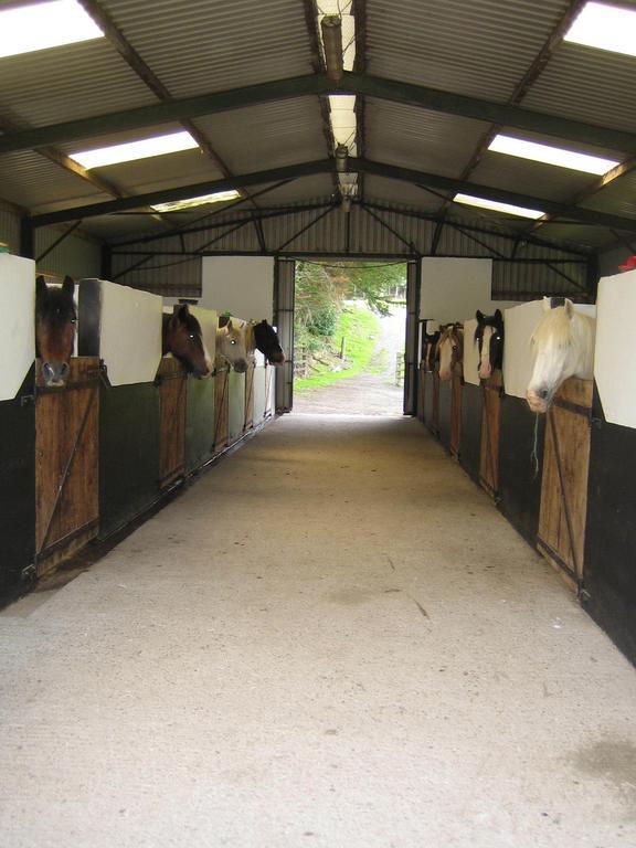 Вилла Muckross Riding Stables Килларни Экстерьер фото